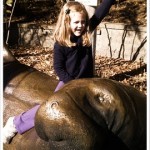 zoo5
