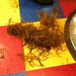 cordyhair2