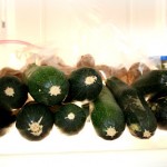 zucchini